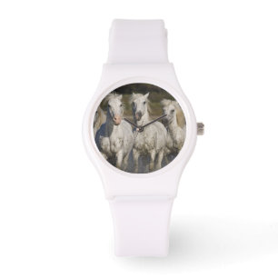 Reloj De Pulsera Francia, Camargue. Caballos corren