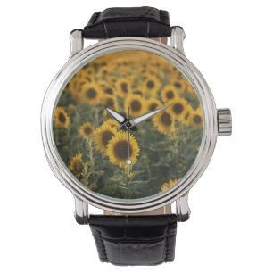 Reloj De Pulsera Francia, Vaucluse, campo de girasoles