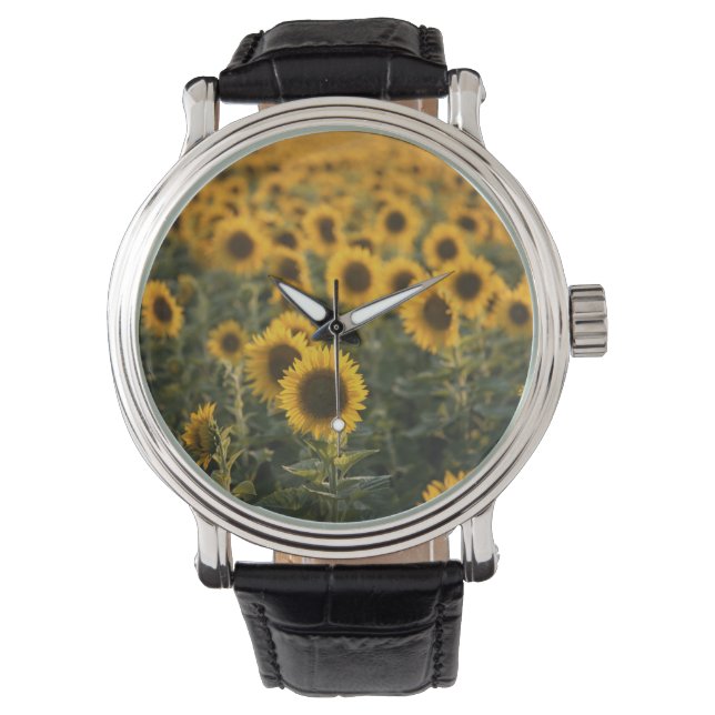 Reloj De Pulsera Francia, Vaucluse, campo de girasoles (Anverso)