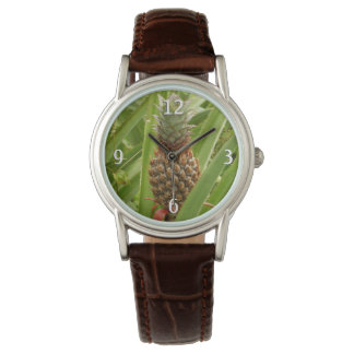 Reloj De Pulsera Fruta tropical de la piña silvestre en la naturale