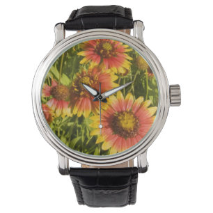 Reloj De Pulsera Gaillardia pulchella flores silvestres