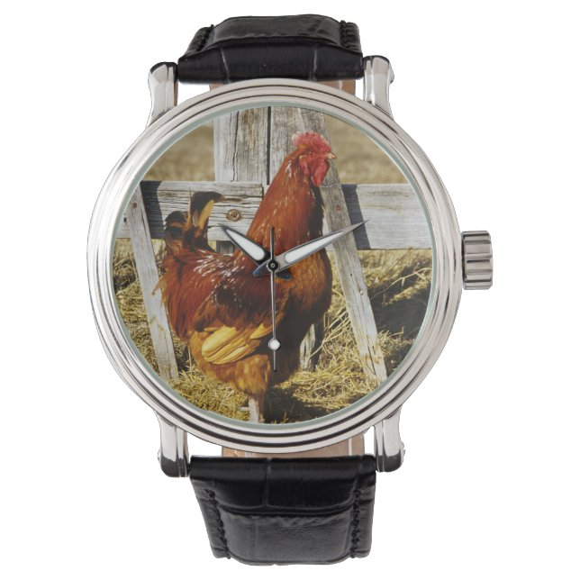 Reloj De Pulsera Gallo rojo de Rhode Island (Anverso)