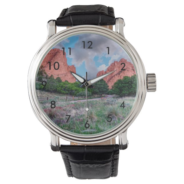 Reloj De Pulsera Gateway Rocks Garden Of Gods Pulsera Watch (Anverso)