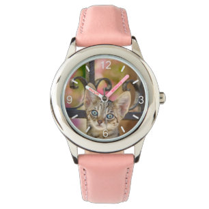 Reloj De Pulsera Gatito de tabby joven con ojos azules en un jardín