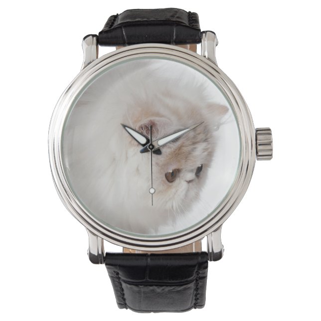 Reloj De Pulsera Gatito persa (3 meses de edad) (Anverso)