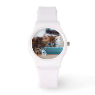 Reloj De Pulsera Gatito persa joven