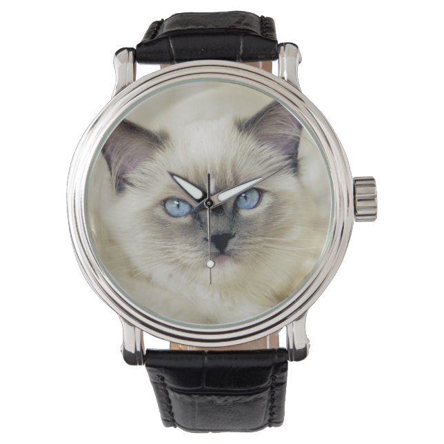 Reloj De Pulsera Gatito Ragdoll (Anverso)