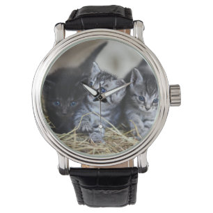 Reloj De Pulsera Gatitos, Mascota, Felinos