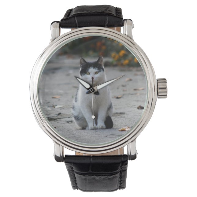 Reloj De Pulsera Gato, blanco, Mascota (Anverso)