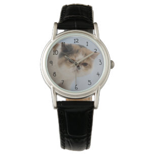 Reloj De Pulsera Gato de cara gruñón