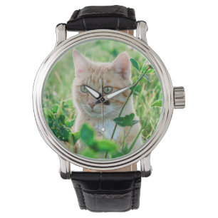 Reloj De Pulsera Gato en la naturaleza