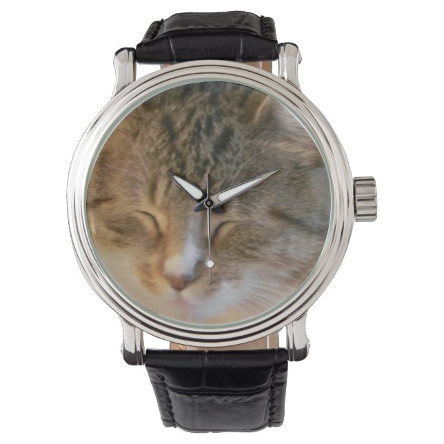 Reloj De Pulsera Gato en la tabla que duerme (Anverso)
