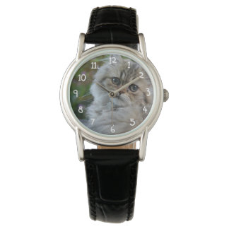 Reloj De Pulsera Gato furtivo