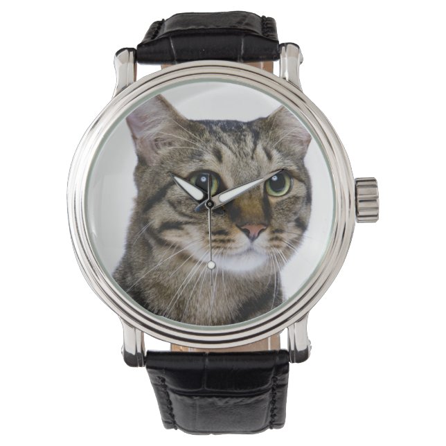 Reloj De Pulsera Gato japonés de fondo blanco (Anverso)
