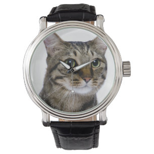 Reloj De Pulsera Gato japonés en el fondo blanco