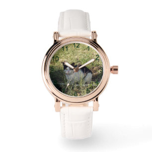 Reloj De Pulsera Gato Negro Y Blanco En El Jardín,