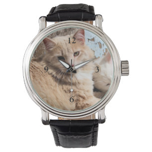Reloj De Pulsera Gatos