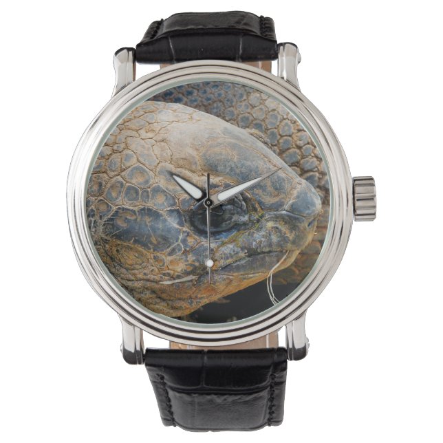 RELOJ DE PULSERA GIANT TORTOISE (Anverso)