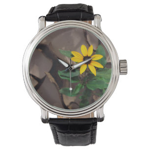 Reloj De Pulsera Girasol creciendo desde el barro agrietado