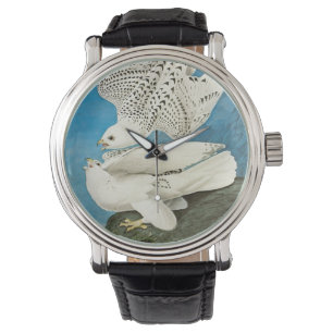 Reloj De Pulsera Girfálcons, también conocidos como Gerfalcons por