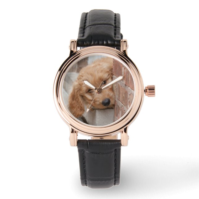 Reloj De Pulsera Goldendoodle Puppy Peeking (Anverso)