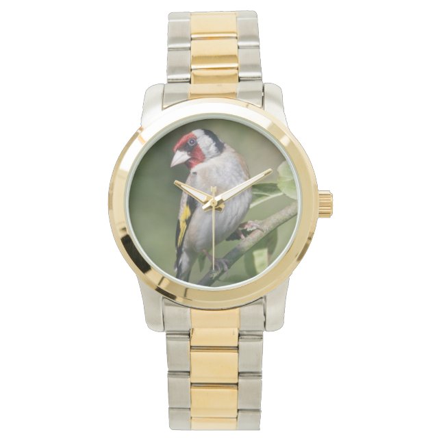 Reloj De Pulsera Goldie Watch (Anverso)