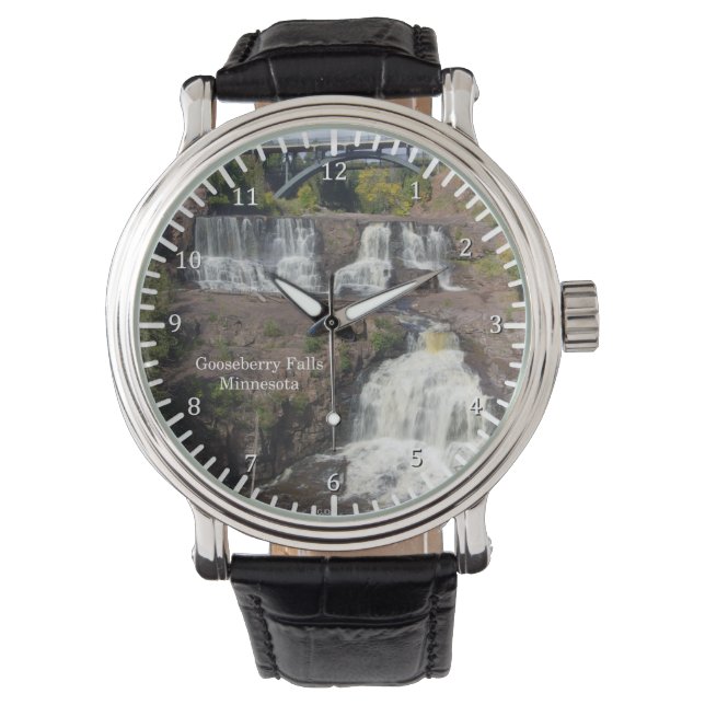 Reloj De Pulsera Gooseberry Falls watch (Anverso)