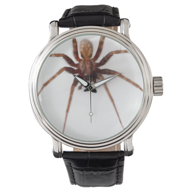 Reloj De Pulsera Gran Araña Asustada (Anverso)