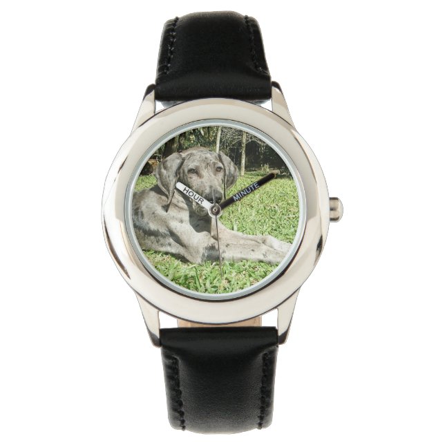 Reloj De Pulsera Gran perro danés (Anverso)