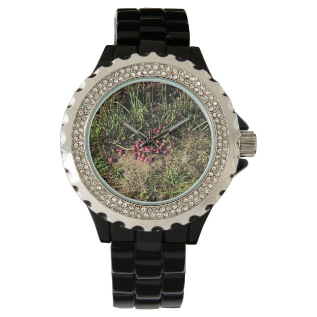 Reloj De Pulsera Granja de Cranberry, Long Beach, Washington (Anverso)