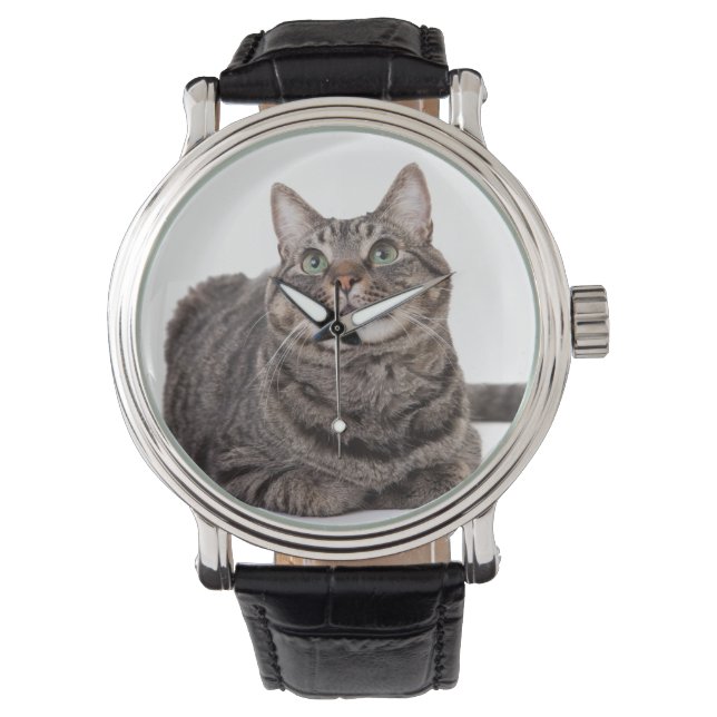 Reloj De Pulsera Gray Tabby Cat (Anverso)