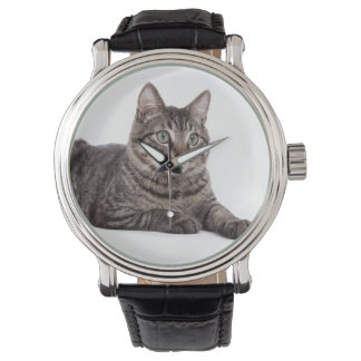 Reloj De Pulsera Gray Tabby Cat