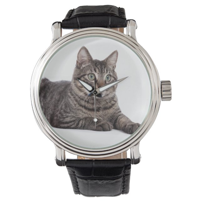 Reloj De Pulsera Gray Tabby Cat (Anverso)