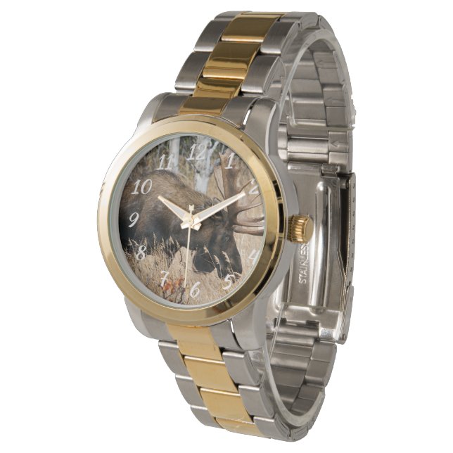 Reloj De Pulsera Grazing Bull Moose (Angular)