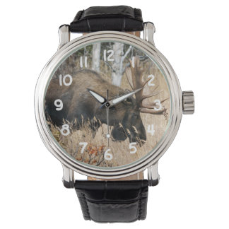 Reloj De Pulsera Grazing Moose