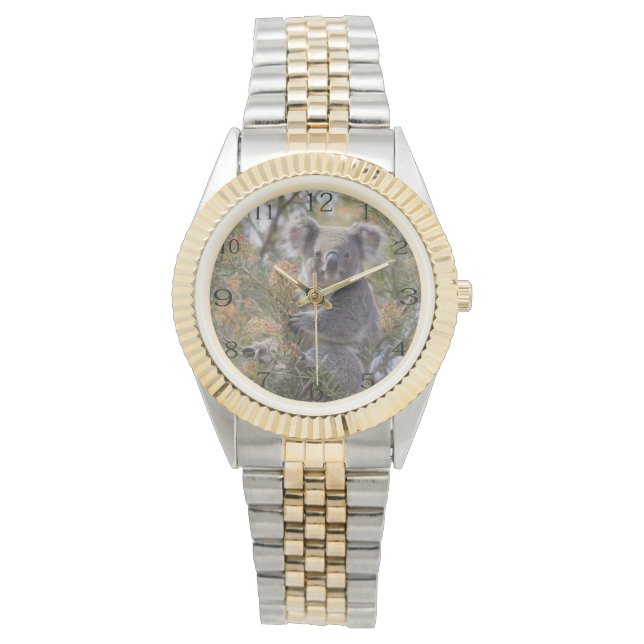 Reloj De Pulsera Grevillea Koala Bear, (Anverso)