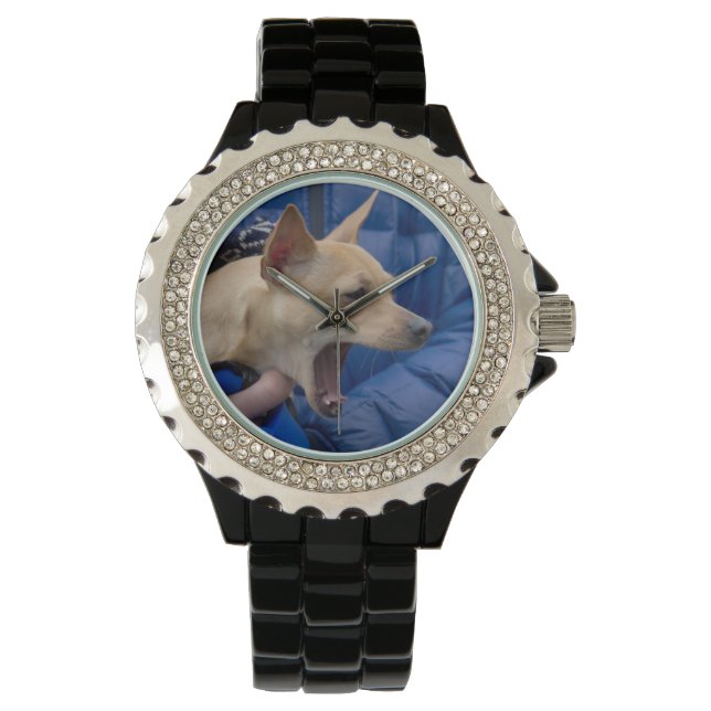 Reloj De Pulsera Gritando a Chihuahua (Anverso)