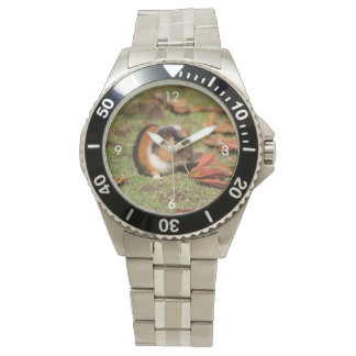 Reloj De Pulsera GuineaPig_20181001_by_JAMFoto
