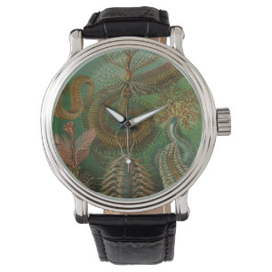 Reloj De Pulsera Gusanos vintage Annelids Chaetopoda por Ernst Haec