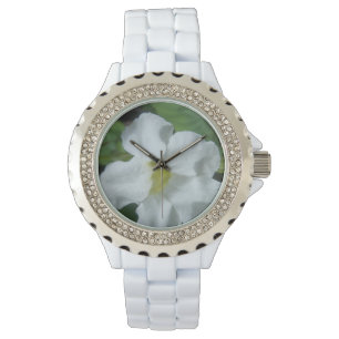 Reloj De Pulsera Hallan flor tropical blanca en Fiyi