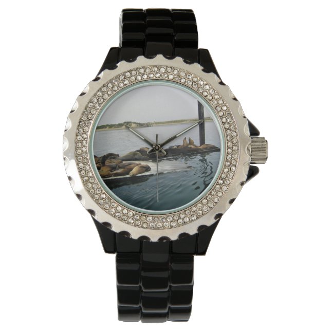 Reloj De Pulsera Harbour Seals, Morro Bay, California (Anverso)