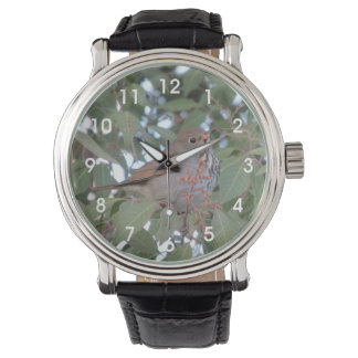 Reloj De Pulsera Hermit Thrush