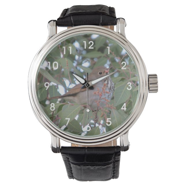 Reloj De Pulsera Hermit Thrush (Anverso)