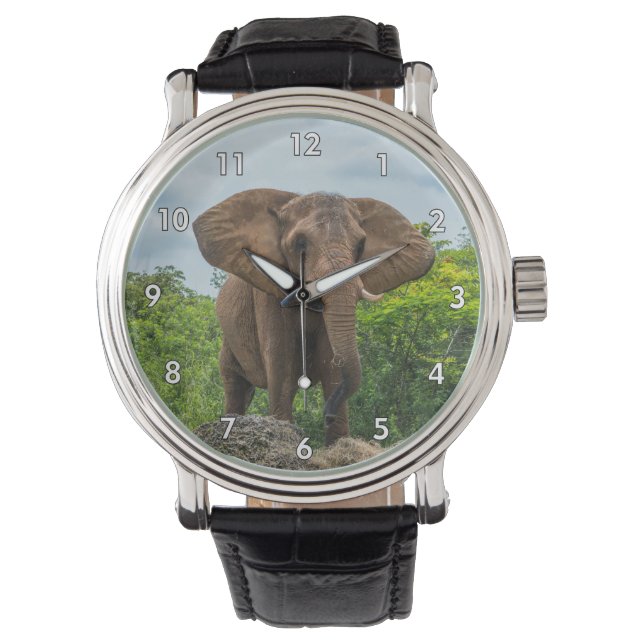 Reloj De Pulsera Hermoso elefante jugando en la hierba (Anverso)