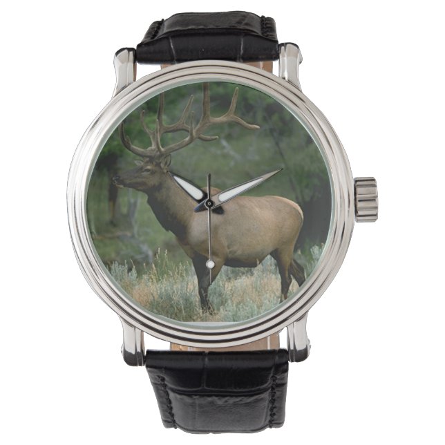 Reloj De Pulsera Hermoso Elk (Anverso)