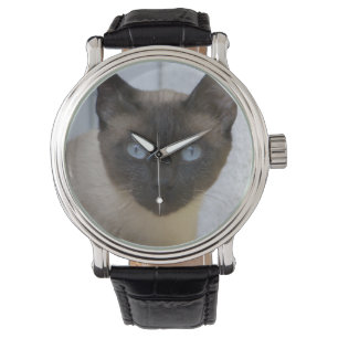 Reloj De Pulsera Hermoso gato siamés de punto de foca