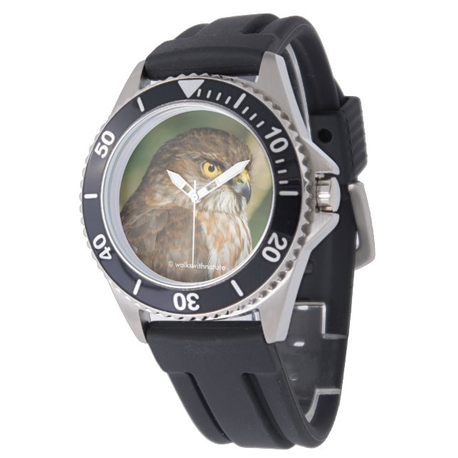 Reloj De Pulsera Hermoso Gavilán Azor viene de visita (Angular)
