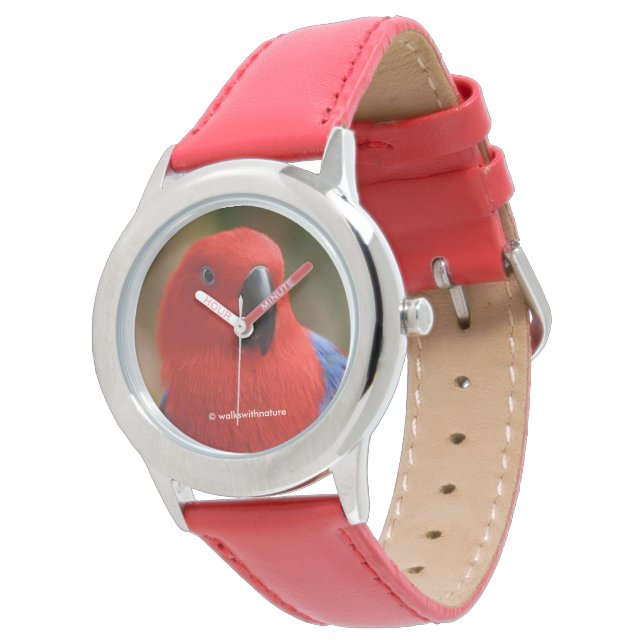 Reloj De Pulsera Hermoso "Lady in Red" Eclectus Parrot (Angular)