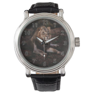 Reloj De Pulsera Hermoso león en el desierto