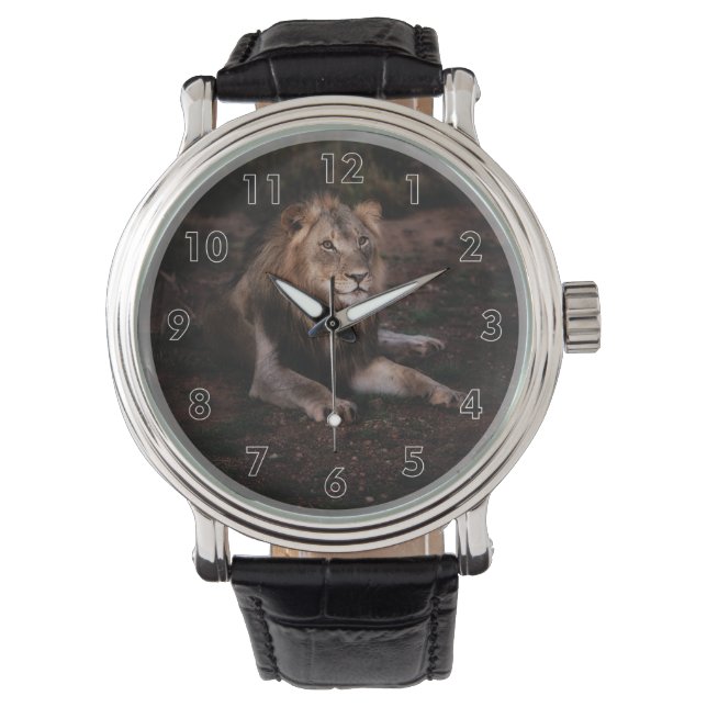 Reloj De Pulsera Hermoso león en el desierto (Anverso)